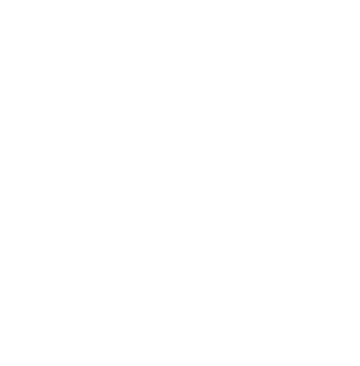 LevyColes
